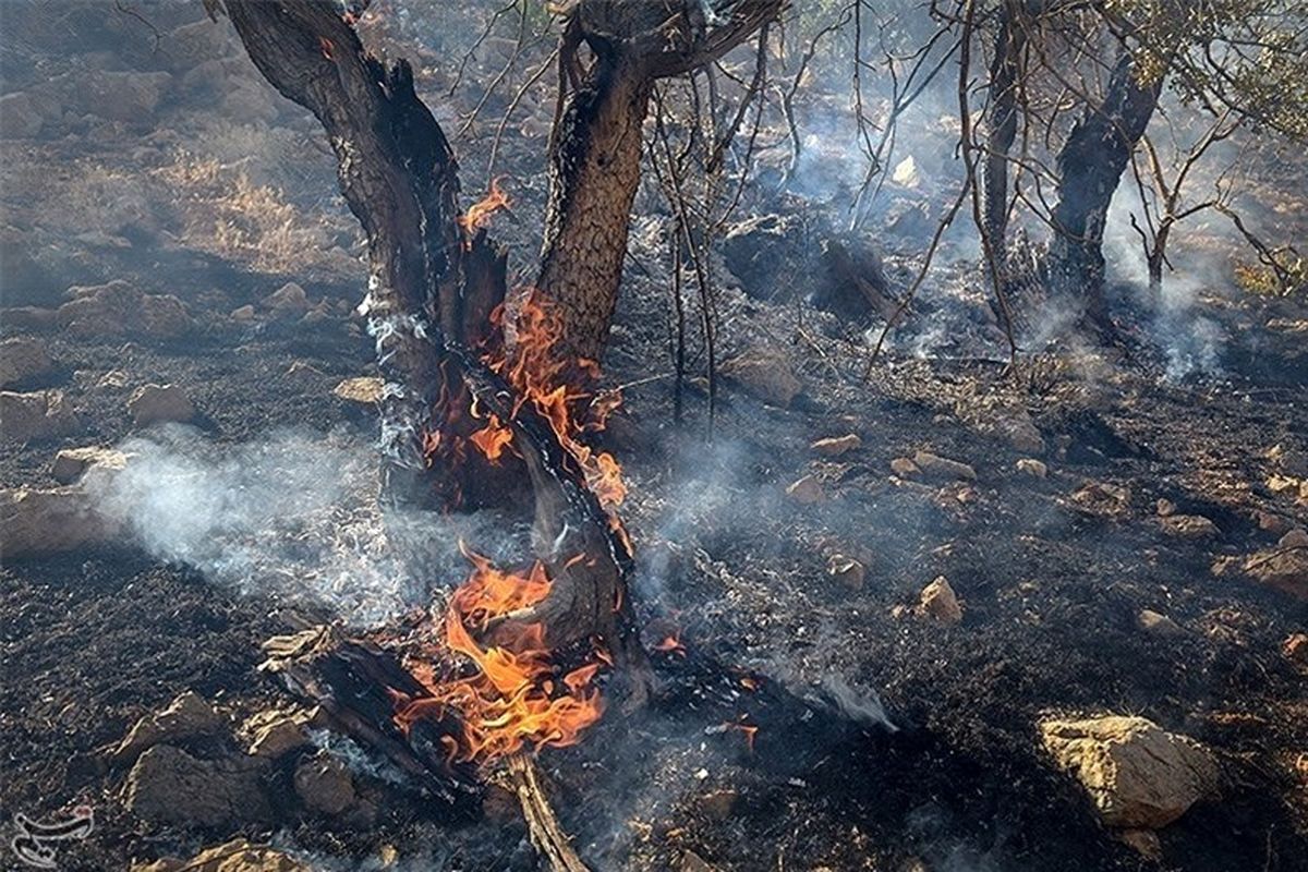 مهار آتش سوزی در شهرستانهای لاهیجان و لنگرود