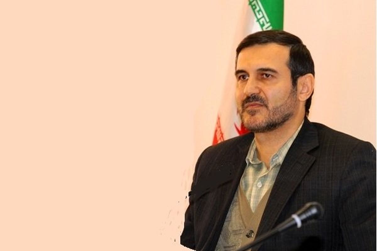 اندیشمندان در تبیین مفهوم حقوق بشر اسلامی کم کار کرده اند/ از کمبود متخصص در مجلس رنج می بریم