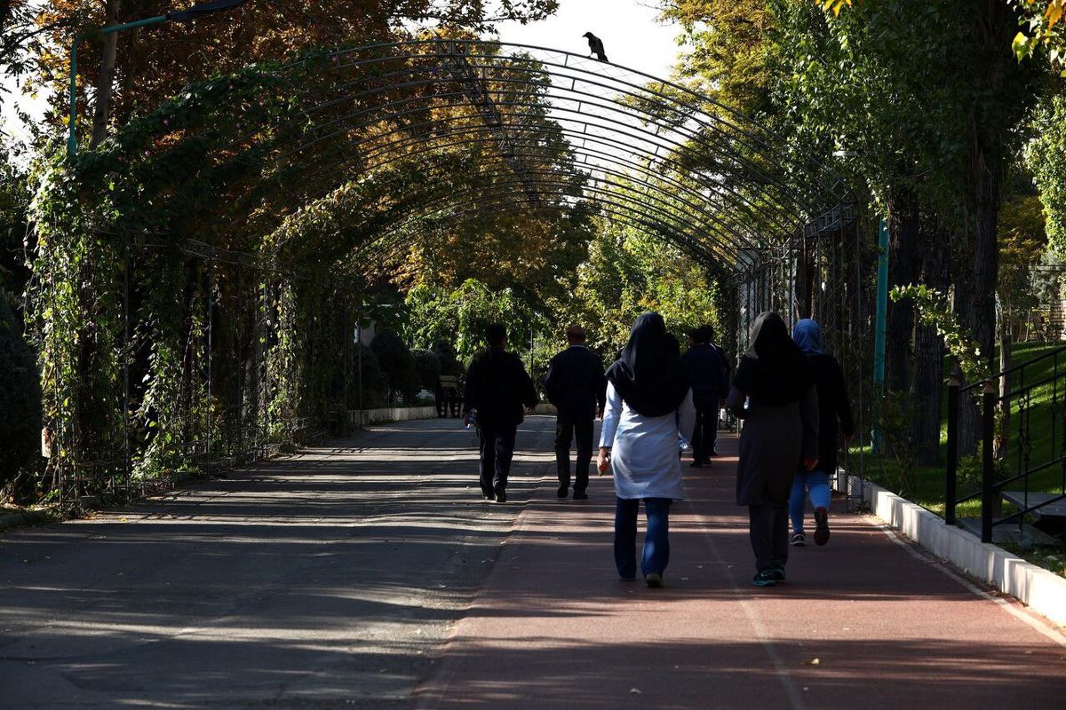 اولین المپیاد ورزش همگانی در فارس برگزار می شود