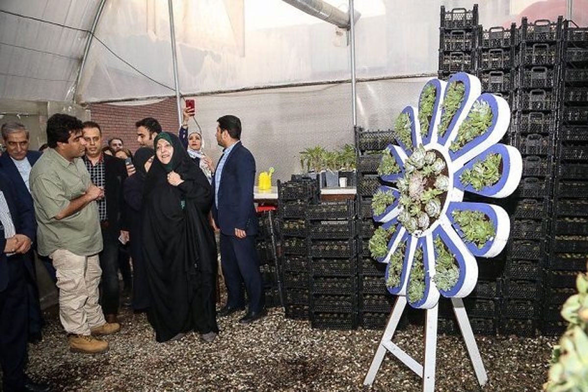 پدیده «نوزاد کارتن‌خواب» نتیجه بی‌توجهی به زنان است