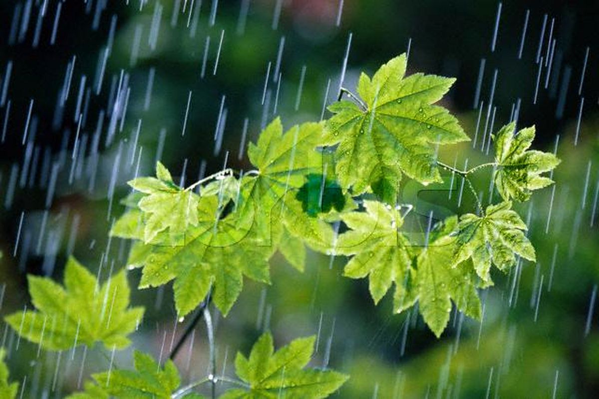 آغاز بارش برف و باران زمستانی در نواحی مرکزی سیستان و بلوچستان