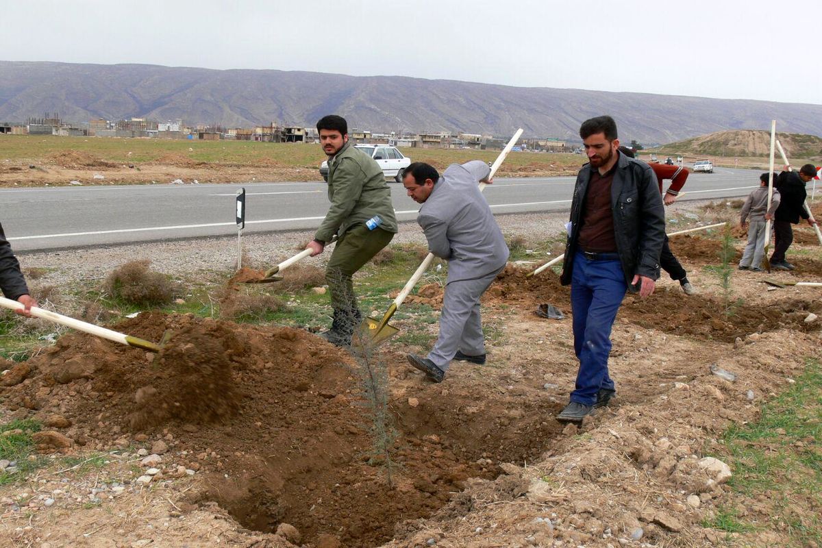 آغاز طرح نهضت درختکاری در منازل شهروندان از ۱۰ دی ماه