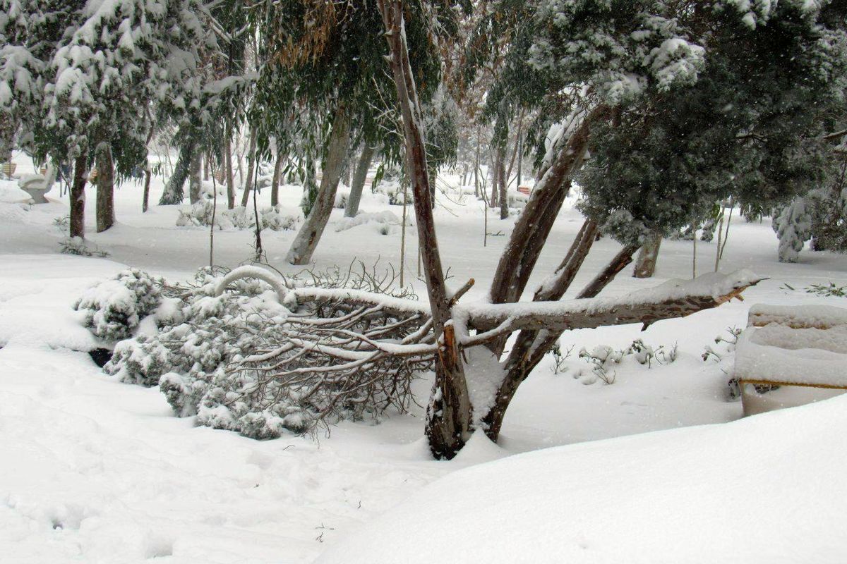 موج جدید بارشی اواسط هفته آینده وارد کشور می شود