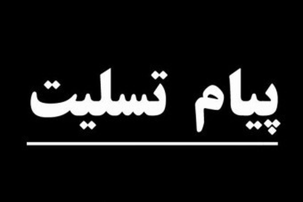 پیام تسلیت مدیرکل تبلیغات اسلامی هرمزگان در پی سانحه‌ سقوط هواپیمای مسافربری تهران - یاسوج