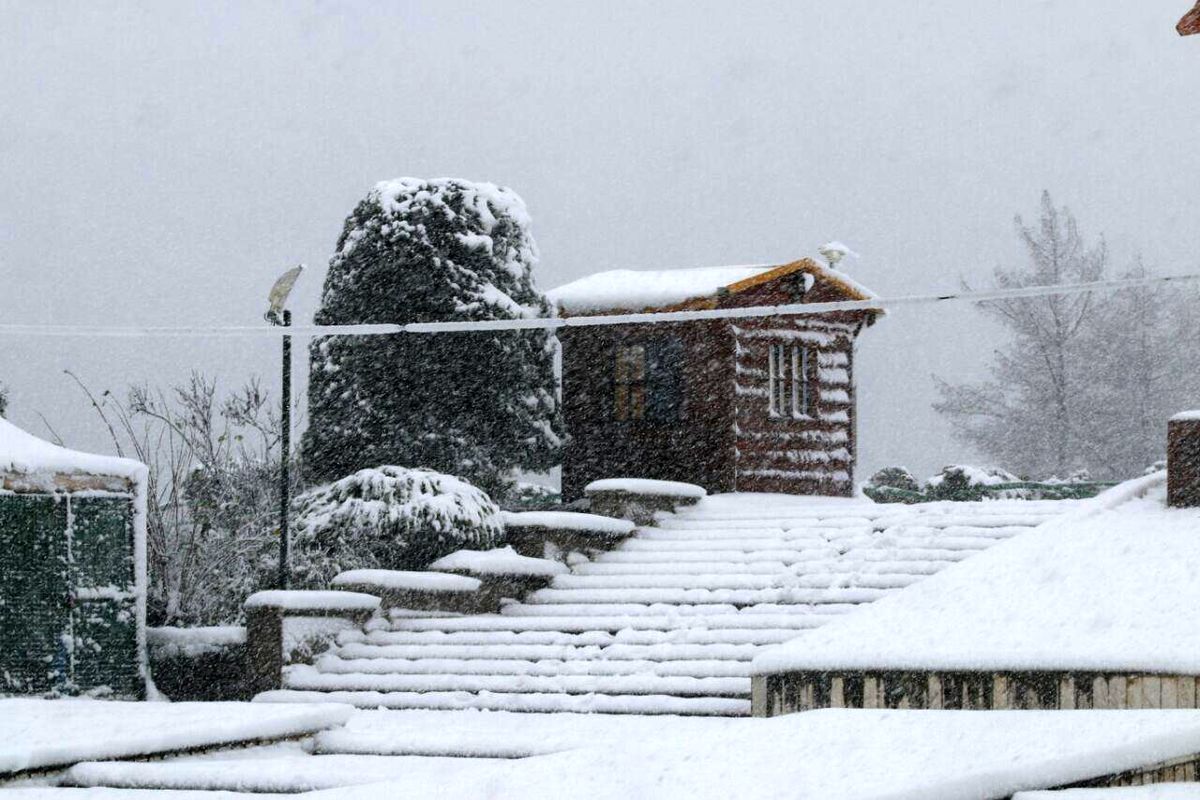 گزارش تصویری از بارش برف در لاهیجان