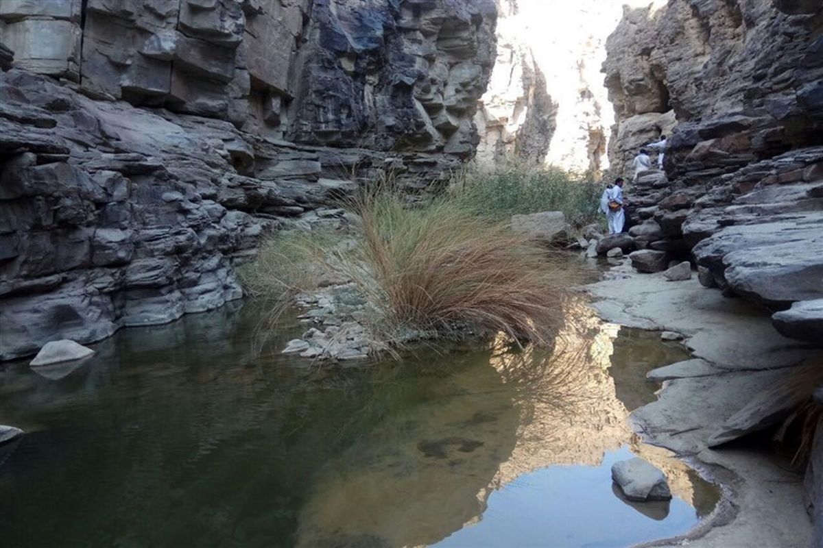 شناسایی زیستگاه جدید پلنگ و خرس در جنوب سیستان و بلوچستان