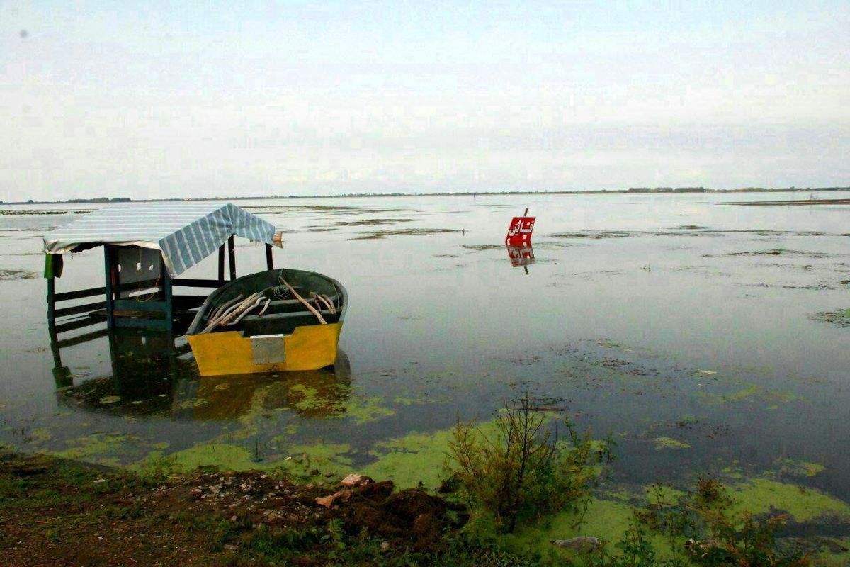 نشستی برای بررسی چالش های تالاب بین المللی انزلی