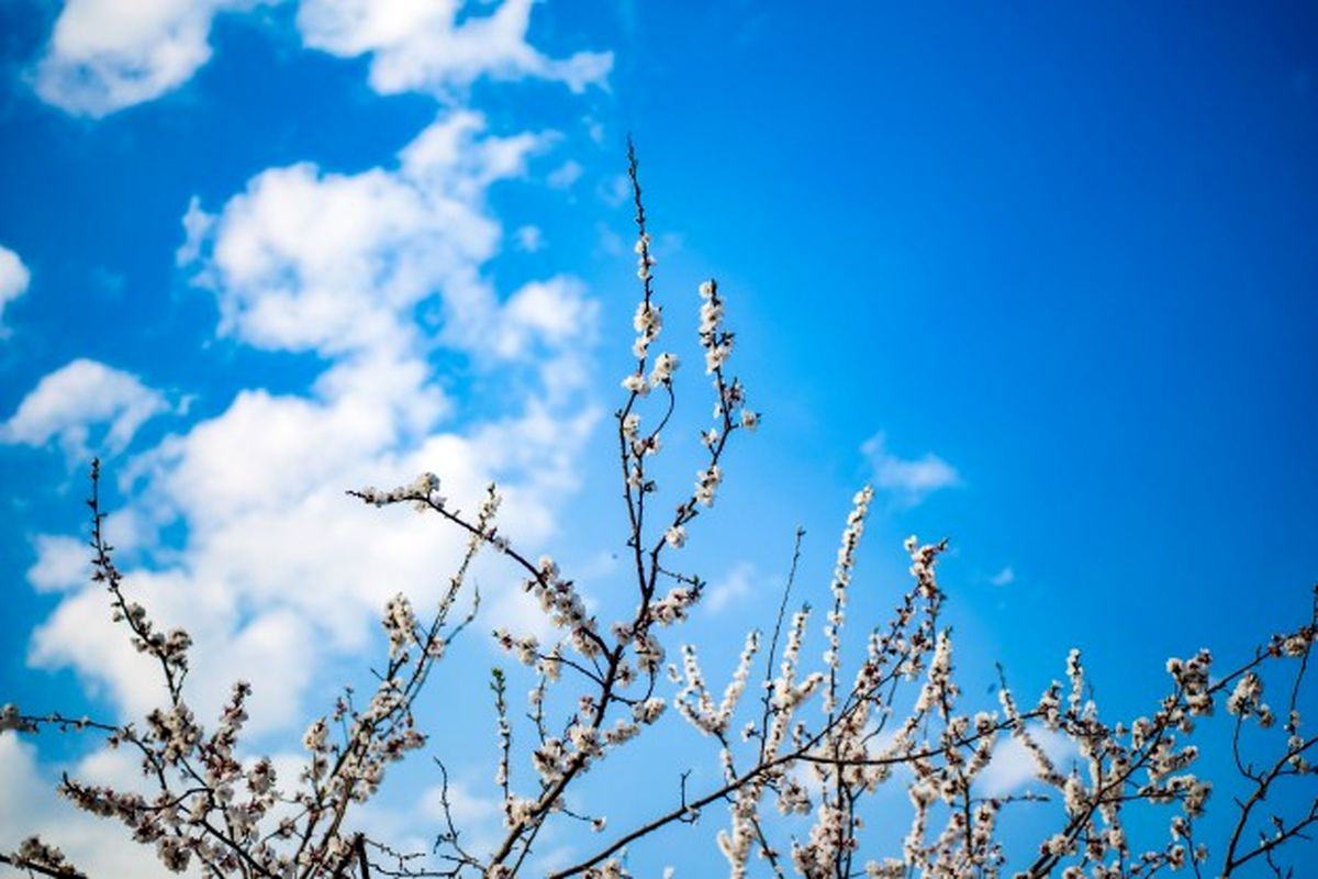 آسمانی صاف و هوای بهاری در البرز