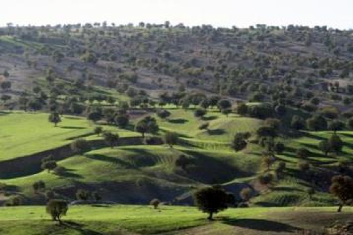 احساس مسئولیت همگانی در قبال منابع طبیعی و محیط زیست لازمه زندگی سالم در عصر تکنولوژی است