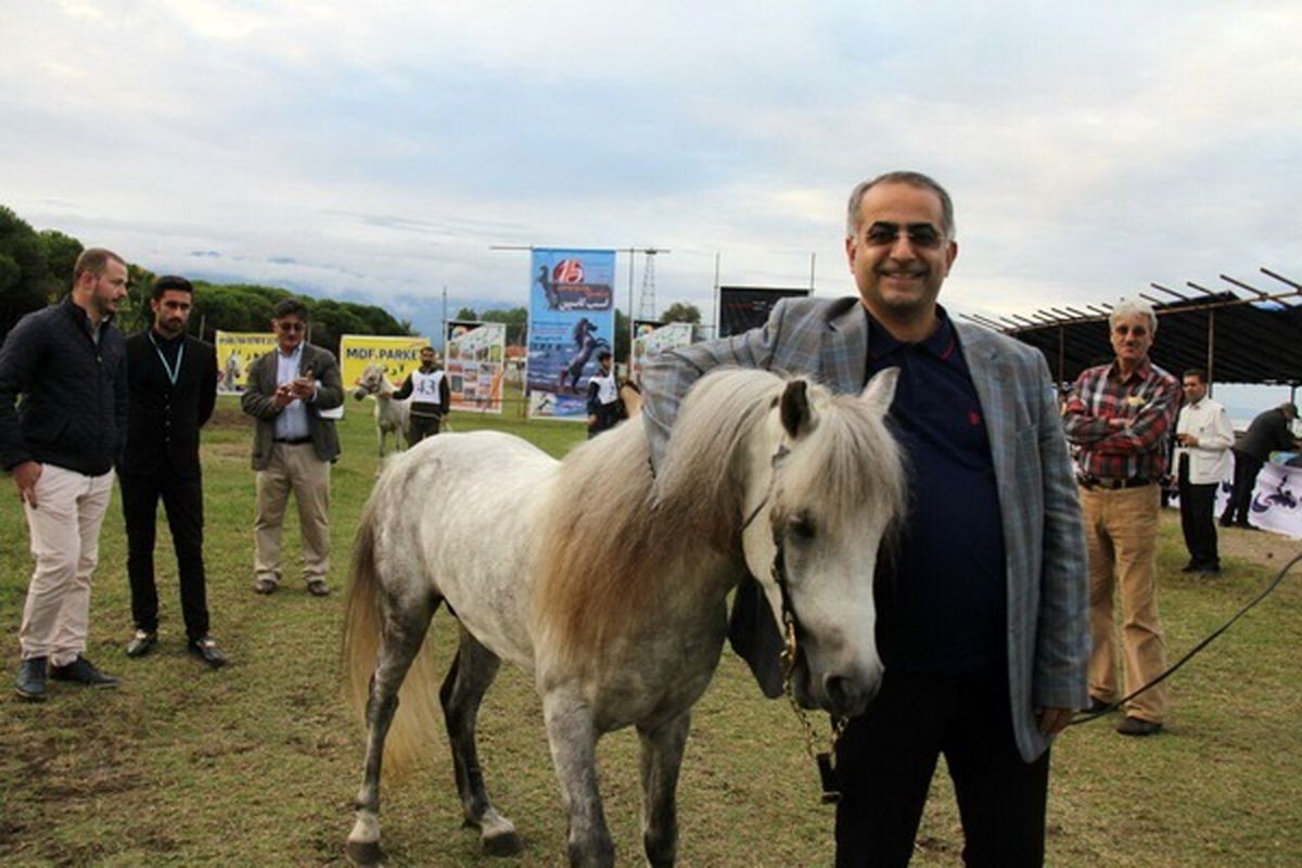 برگزاری شانزدهمین جشنواره ملی زیبایی اسب ۵ هزارساله کاسپین در رشت