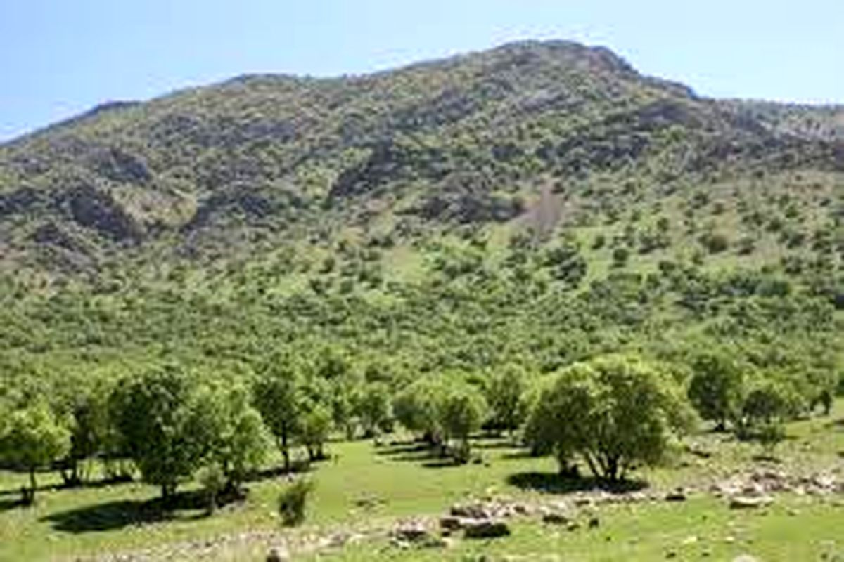 شناسایی  ۱۵۰ نقطه بحرانی حریق در جنگلها و مراتع لرستان