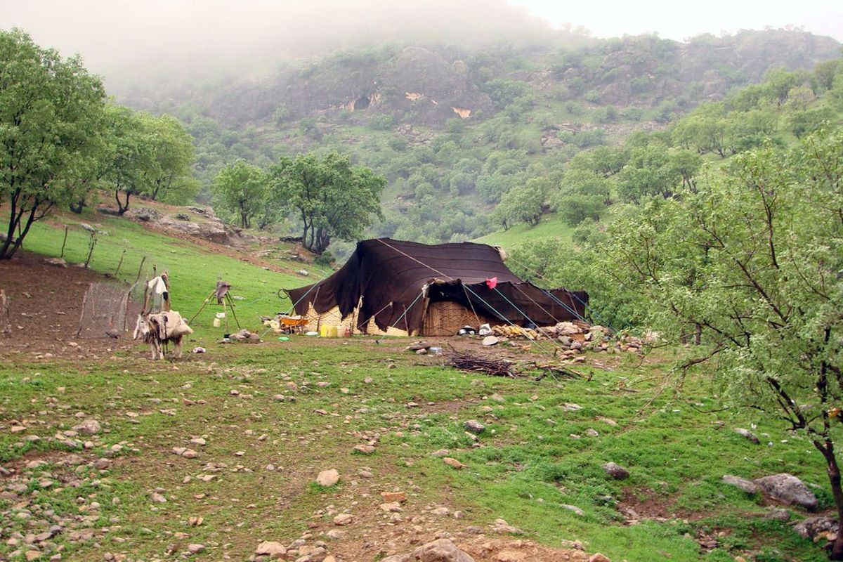 کمک به خانواده های عشایر حادثه دیده مانه و سملقان