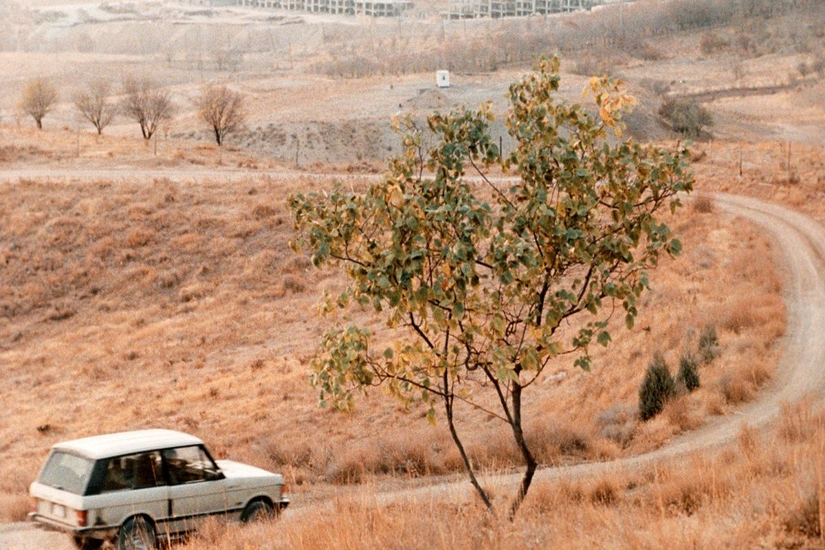 رونمایی از «طعم گیلاس» کیارستمی در تلویزیون/ روایت یک پرواز