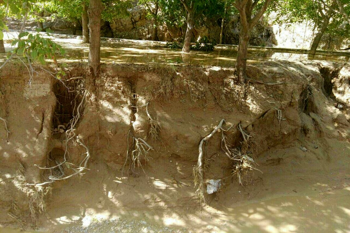 بارش شدید باران و جاری شدن سیل ۷۸ هزار و ۵۱۸ میلیون ریال خسارت به بخش کشاورزی شهرستان بجنورد وارد کرد