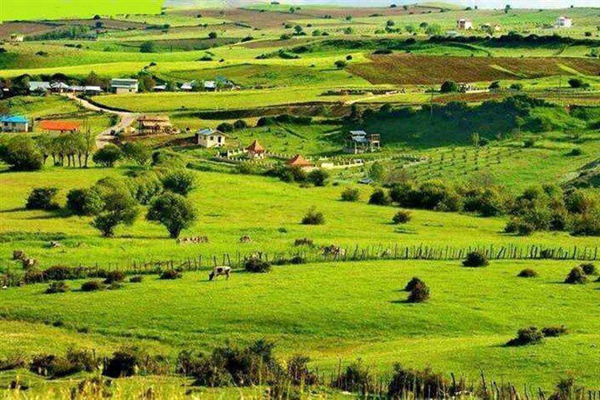 دمای هوای مناطق جلگه ای ۱ تا ۳ درجه و مناطق کوهستانی ۳ تا ۸ درجه افزایش خواهد یافت