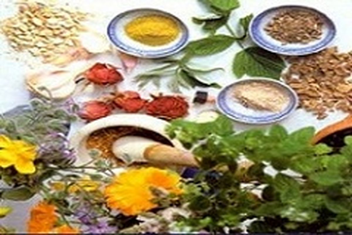 ۴۰درصد از ۲۵۰۰ گونه گیاه دارویی شناسایی شده ایران درجهان انحصاری است