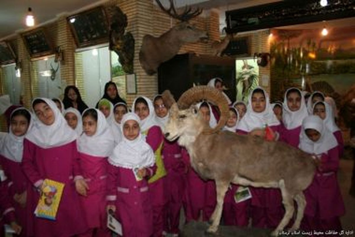 بازدید رایگان از موزه تاریخ طبیعی اداره کل محیط زیست لرستان