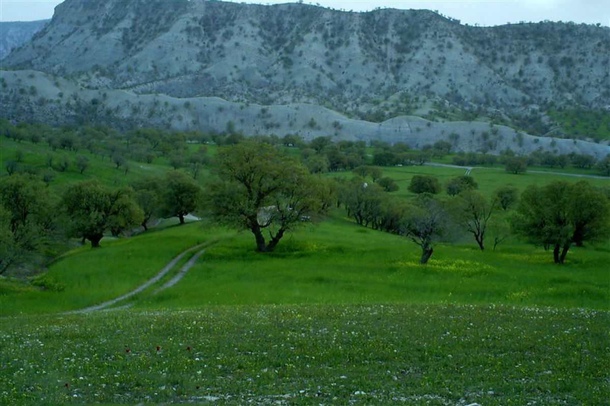 طبیعت استان ایلام ، سفرهای ارزان برای گردشگران و مسافران نوروزی فراهم کرده است