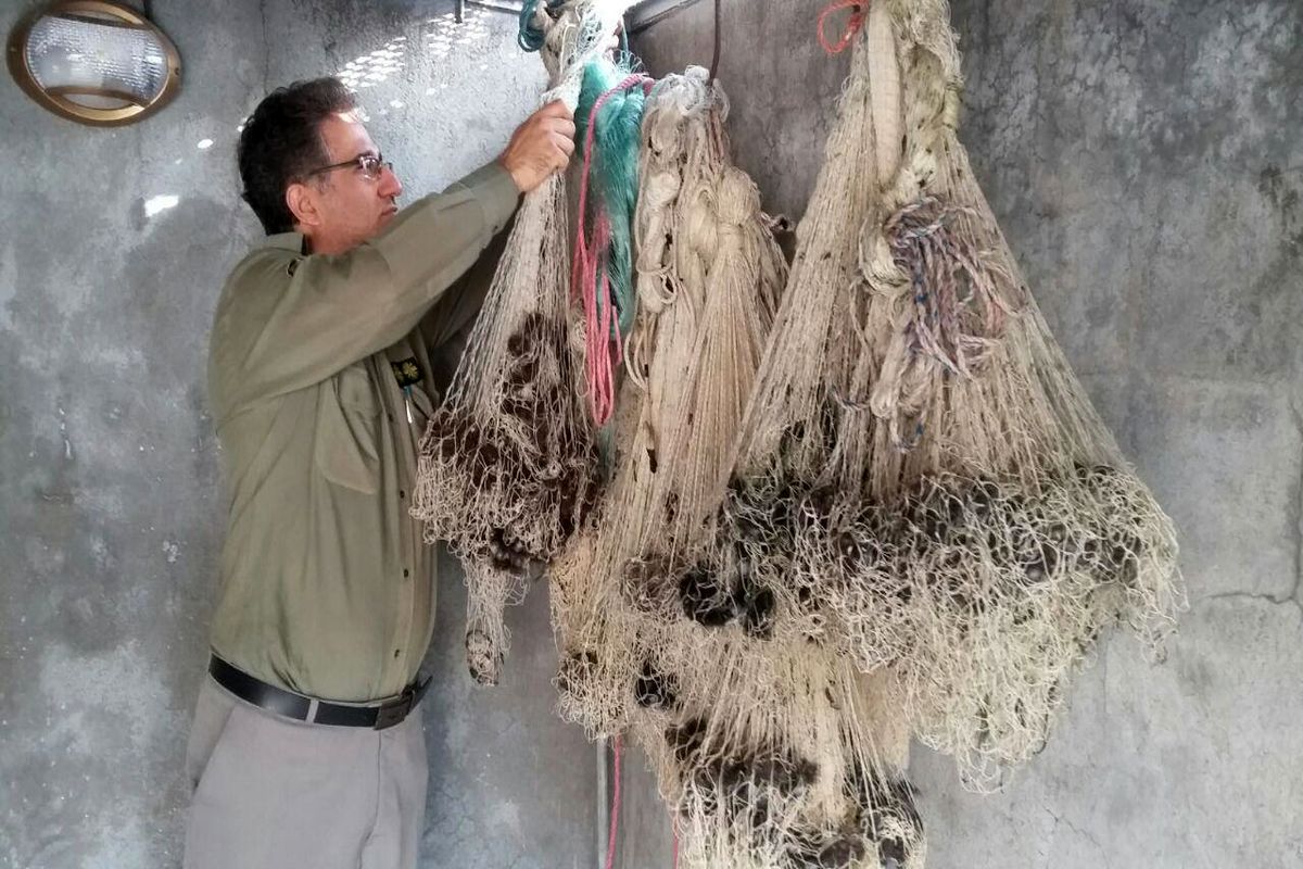 کشف و ضبط ۱۲ رشته تور سالیک در شهرستان رودسر