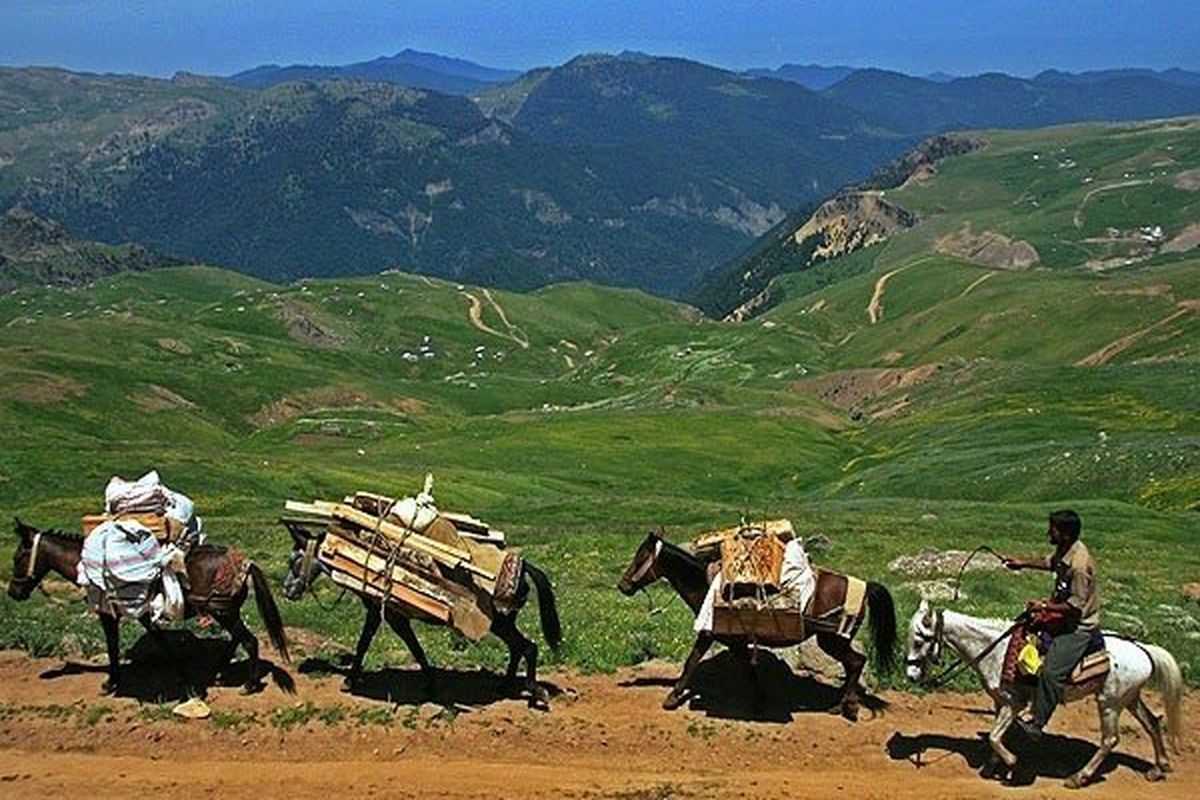 کوچ زود هنگام عشایر به مراتع چهارمحال و بختیاری غیرقانونی است