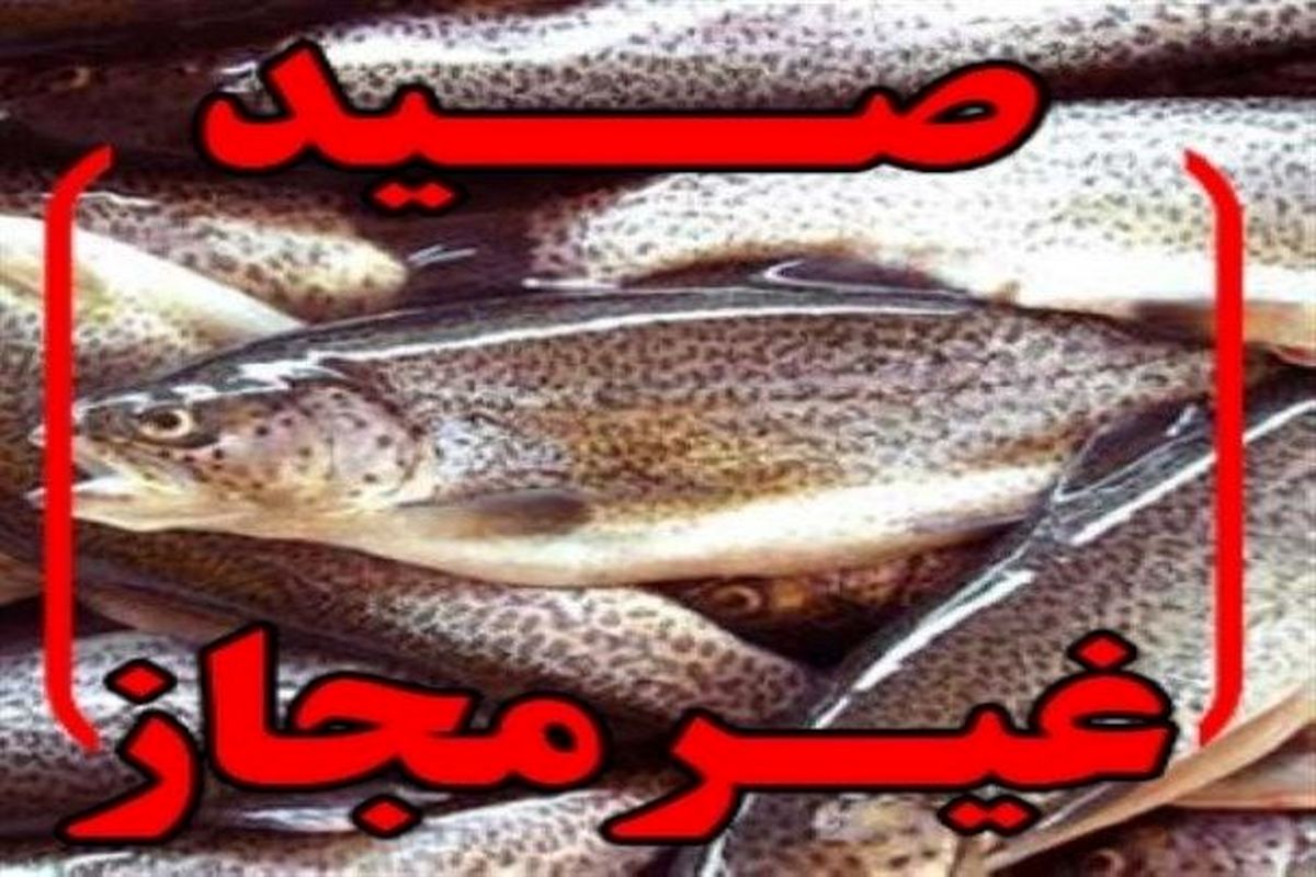 کشف  ۳۲۰۰ کیلوگرم صید غیرمجاز در آبادان