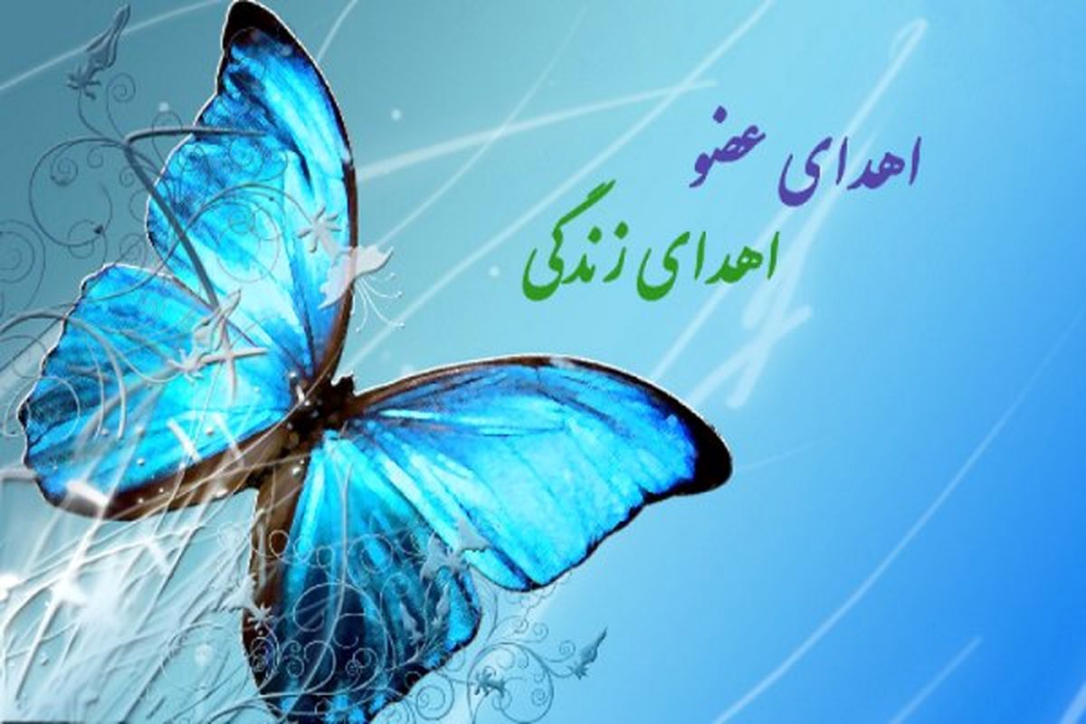 اهدای کبد به بیمار نیازمند دریافت عضو