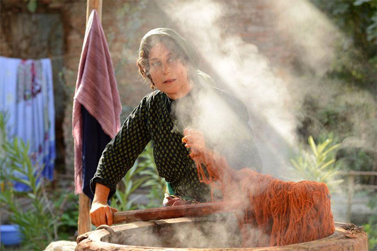 رونمایی از تیزر «بنفشه آفریقایی» / ببینید