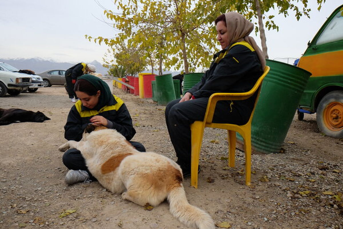 هشدار دادستانی به سگ گردانان کرجی