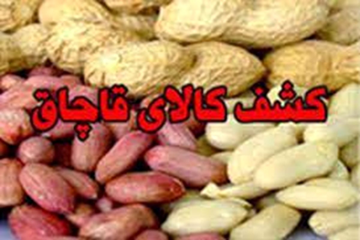 کشف انواع خشکبار قاچاق در خدابنده / ارزش محموله بیش از ششصد و نود میلیون می باشد