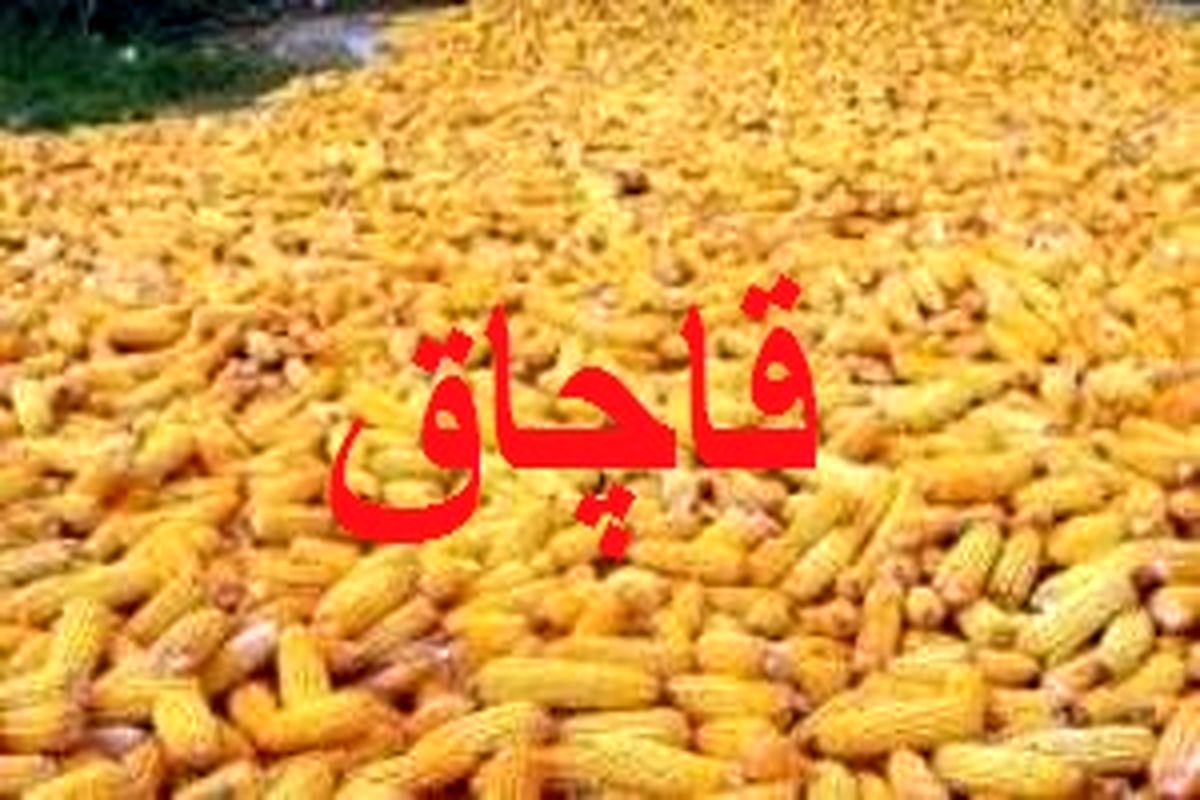 کشف ذرت قاچاق دررومشکان