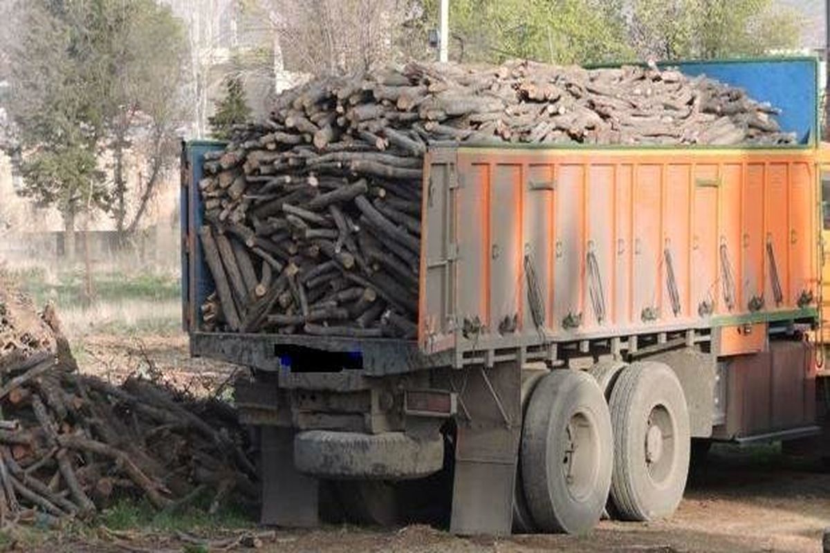 کشف چوب قاچاق در دلفان