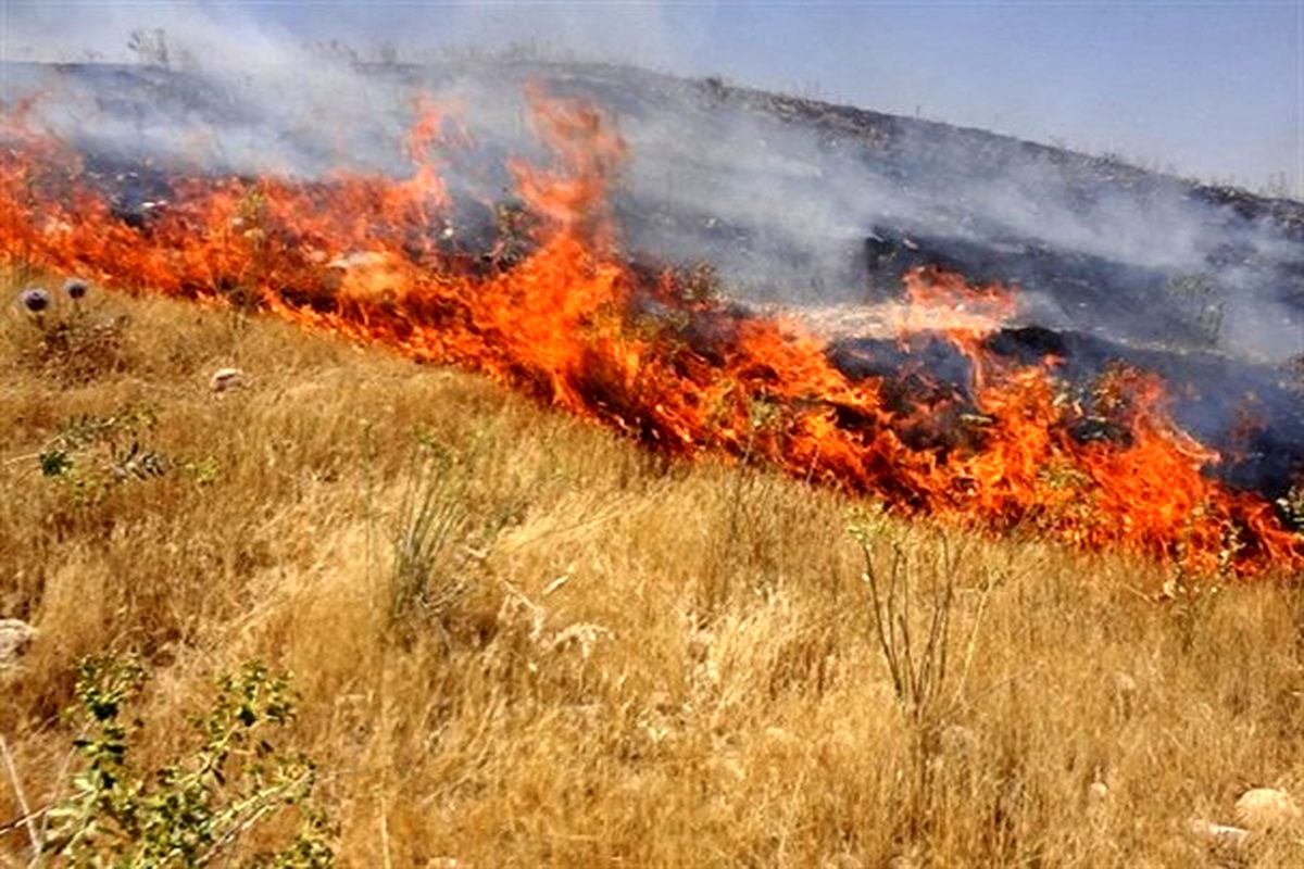 حریق در مزارع کشاورزی روستای دارایی خرم آباد