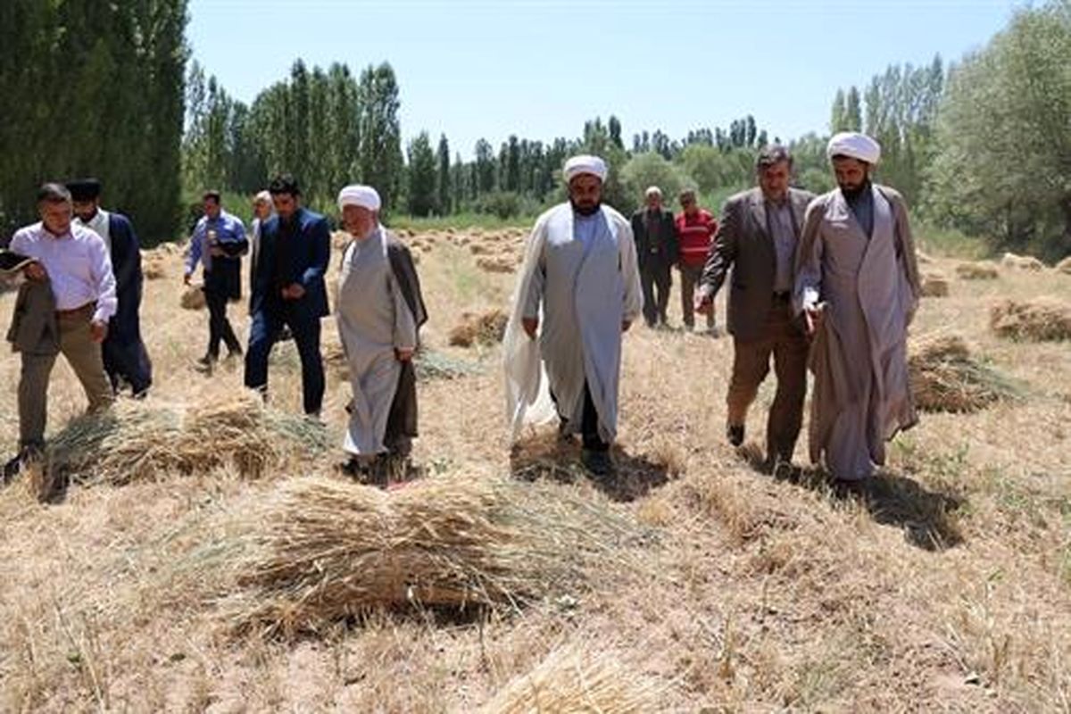 ۳,۷ میلیارد تومان زکات توسط روستاییان خراسان شمالی شده است