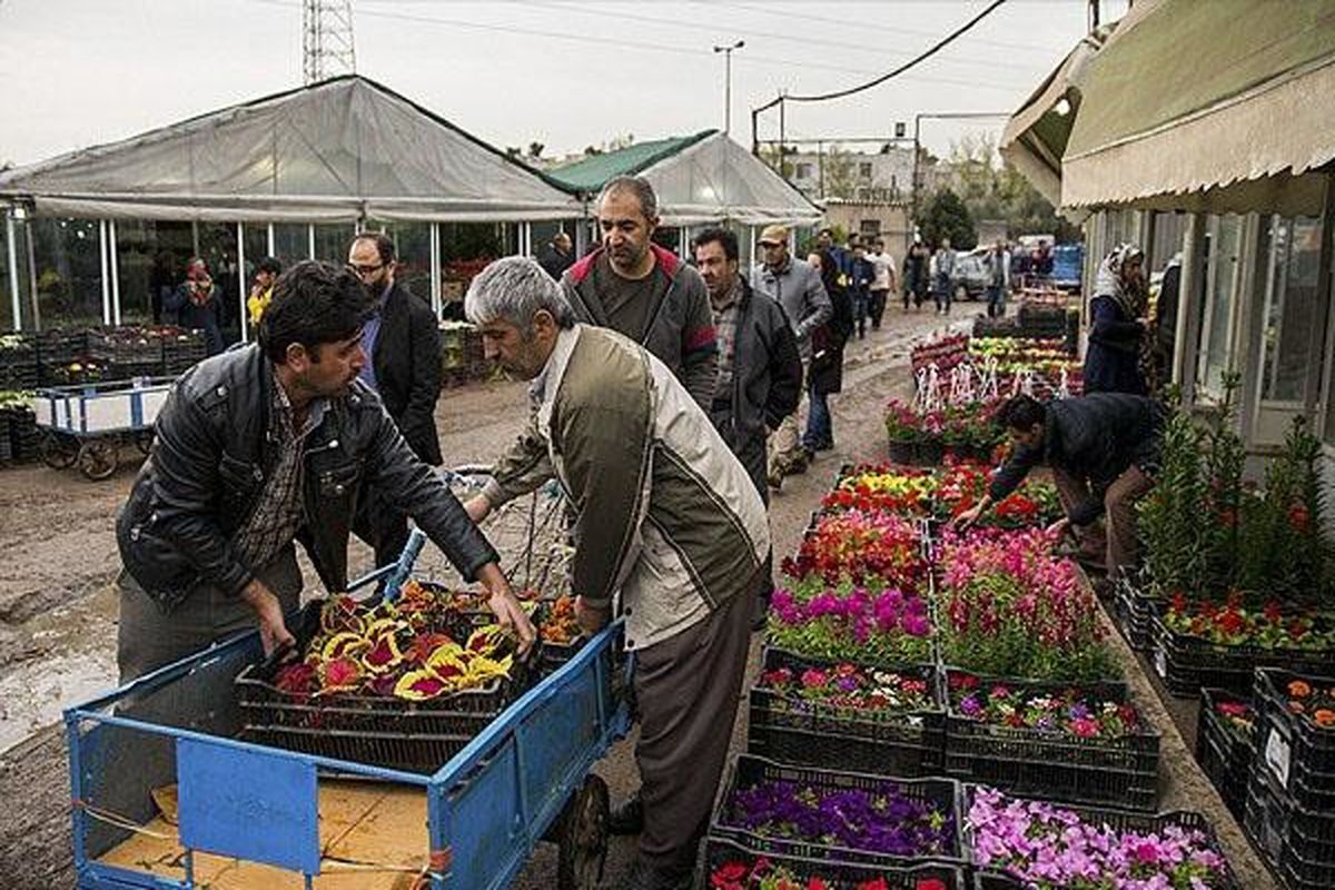 معضلات بازار گل شهید محلاتی / تسریع توافق میان دستگاهی برای حل معضلات بازار گل شهید محلاتی