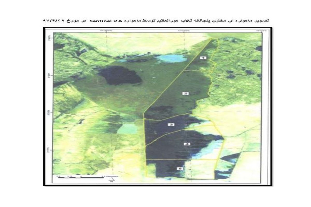 واکنش مدیر امور آب جنوب غرب خوزستان به اظهارات نماینده دزفول در خصوص تالاب هورالعظیم