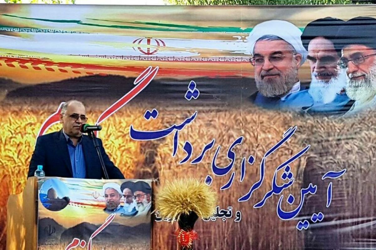 استاندار زنجان:امسال حدود ۶۰۰ میلیارد تومان برای خرید گندم به سفره کشاورزان استان می‌رود