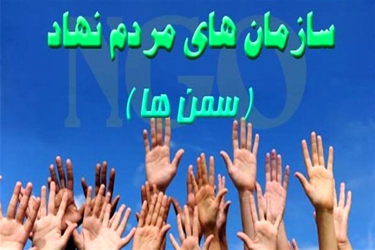 شبکه‌های تخصصی استانی برای کیفی‌سازی سمن‌ها راه‌اندازی شد