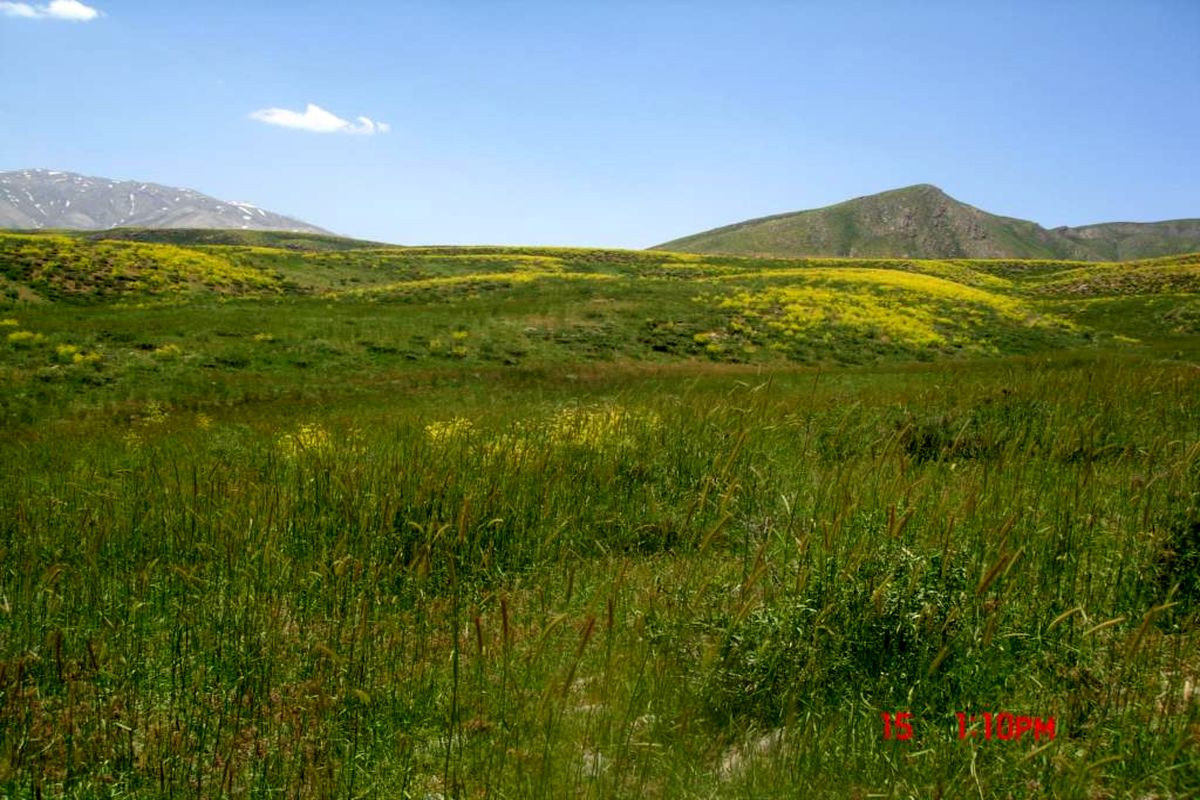 قرق بیش از ۲۵۰۰ هکتار از مراتع شهرستان بروجرد