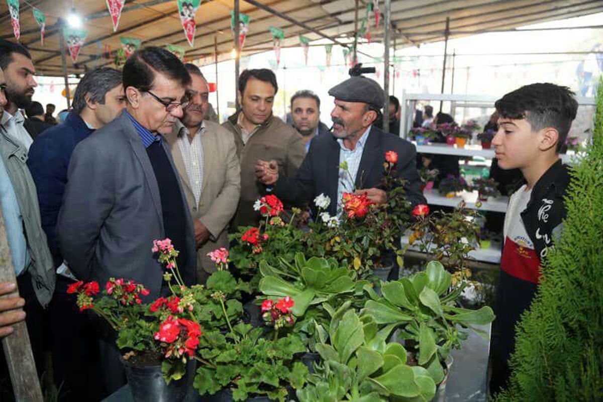 مجموعه ای از گل و گیاه به مساحت ۱۸ هکتار در بوستان چیتگر در نوروز ۹۸ به بهره برداری می رسد