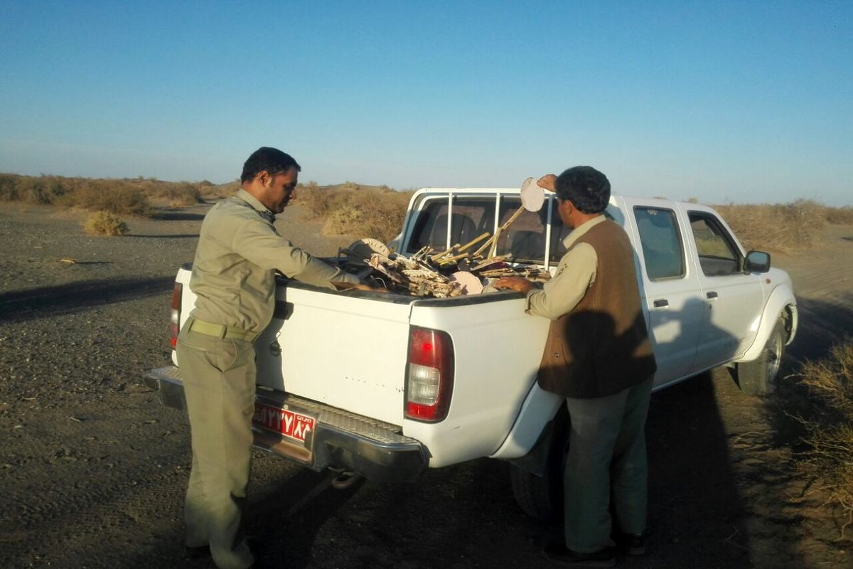 جمع آوری بیش از هزار تله زنده گیری هوبره در ایرانشهر