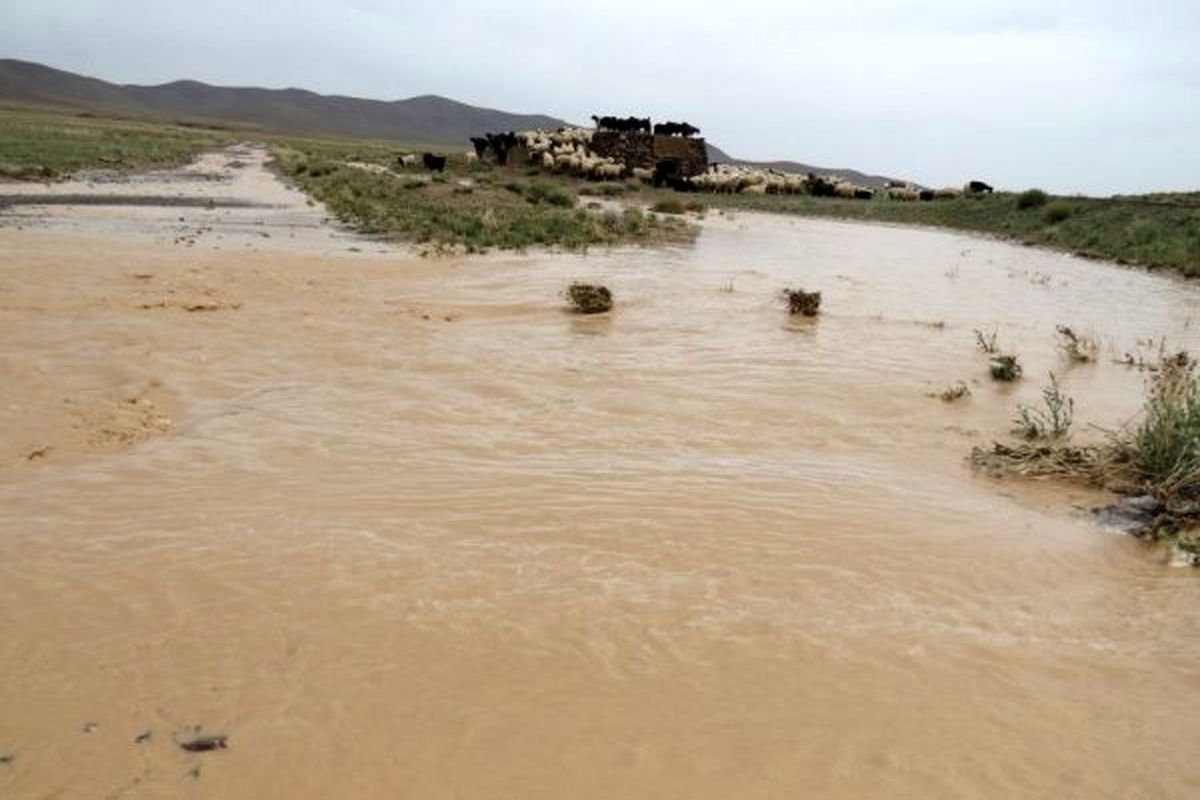 سیل به ۳۷ روستای دامغان خسارت وارد کرد