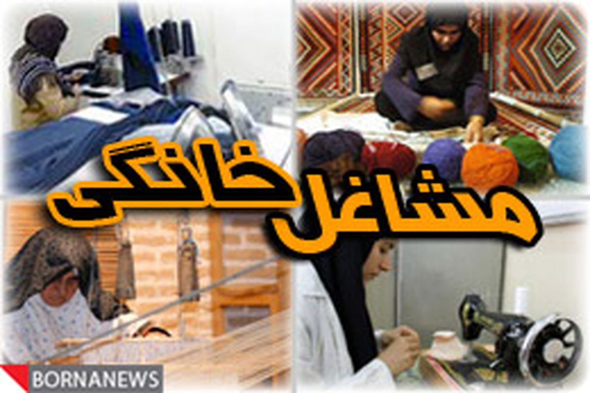 آغاز طرح توسعه مشاغل خانگی با هدف توانمندسازی اقتصادی زنان سرپرست خانوار استان