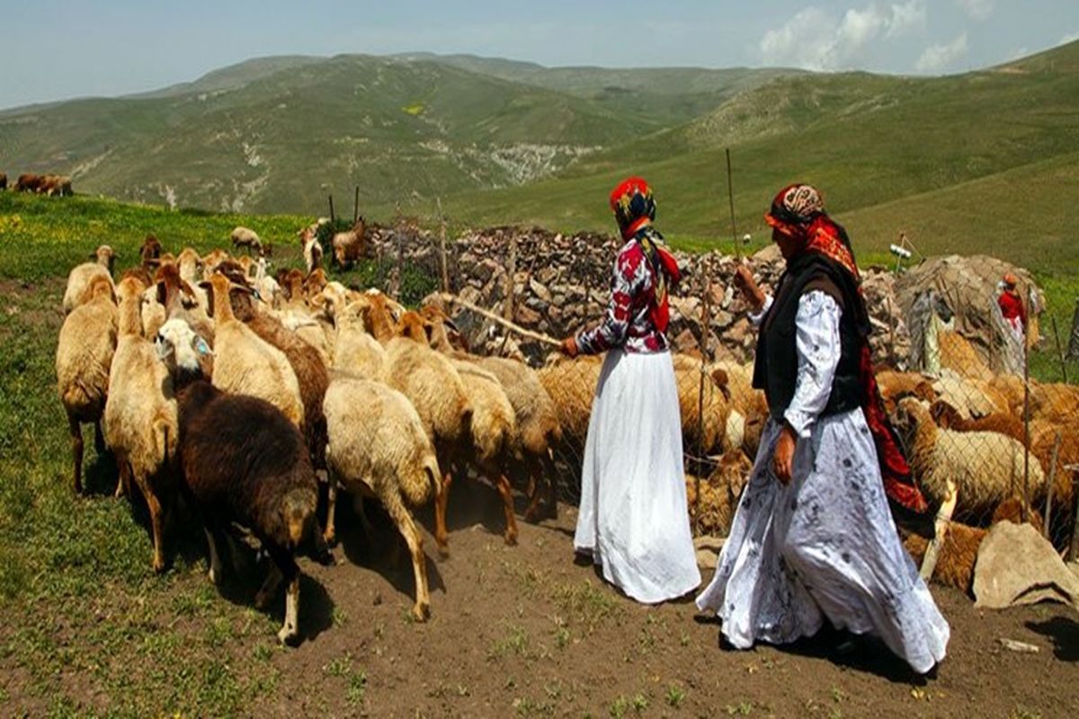 عشایر صاحب کارت شناسایی هوشمند می‌شوند