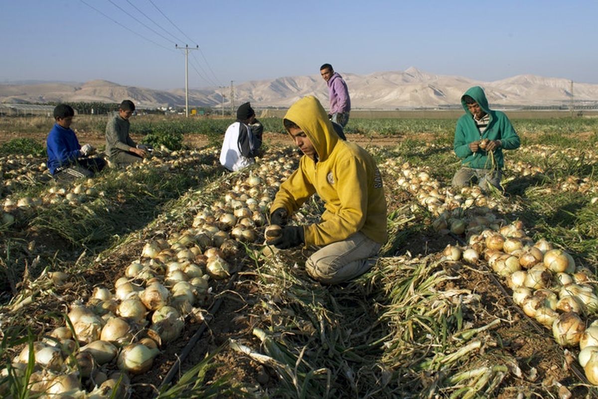 ممانعت اسرائیل از صادرات کرانه باختری خلاف معاهده پاریس است