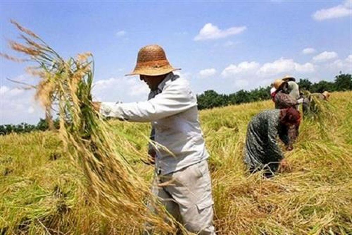 پرداخت بیش از ۱۱ میلیارد تومان زکات توسط روستاییان خراسان شمالی/ کمیته امداد مسئول ثبت زکات پرداختی مردم است