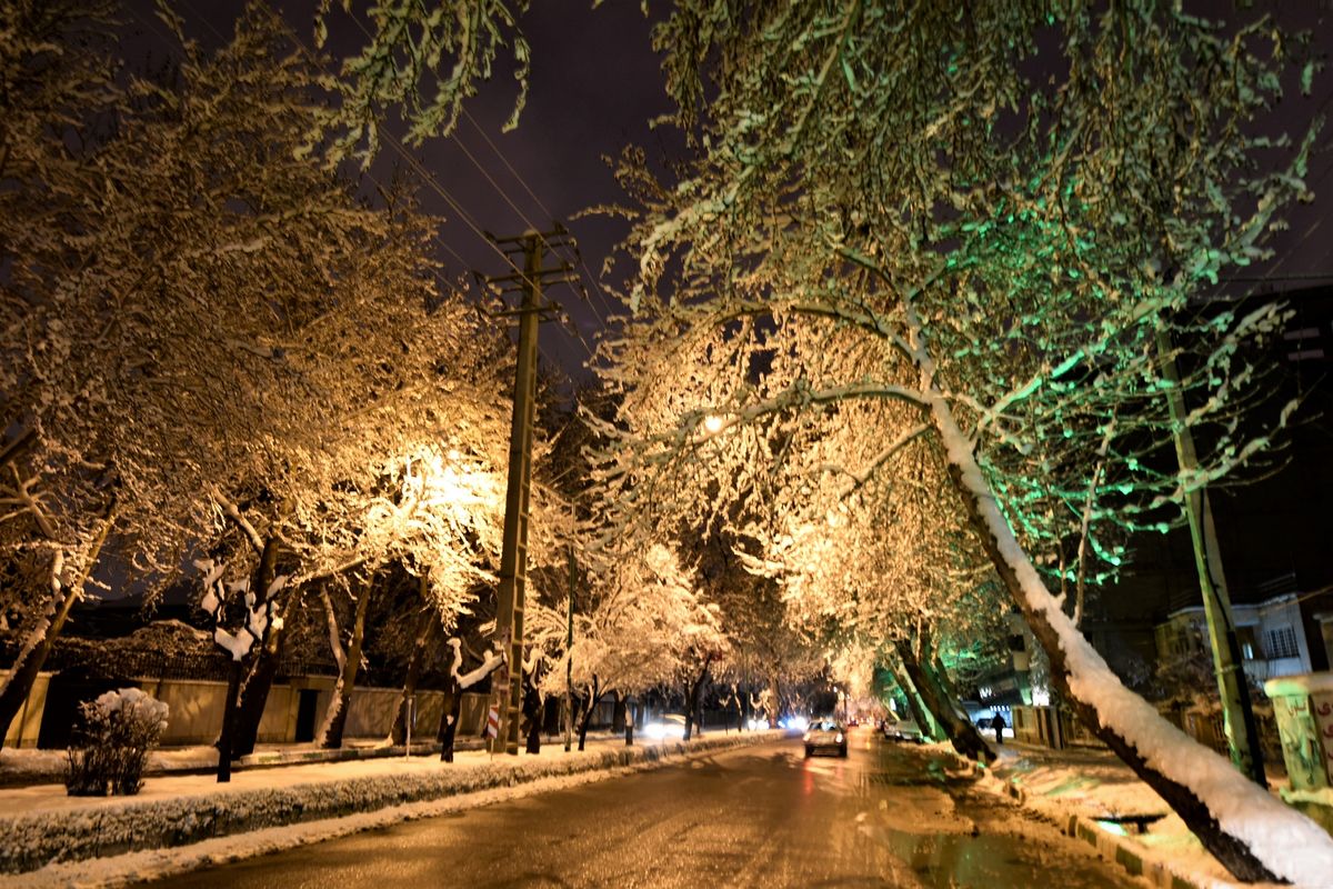 ۱۶ استان کشور درگیر برف و باران سه روزه