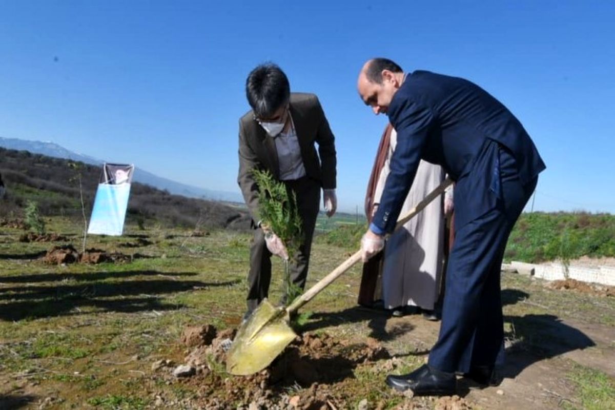 بخش کوچکی از گلستان سرسبز است/ گلستان نیازمند درختکاری