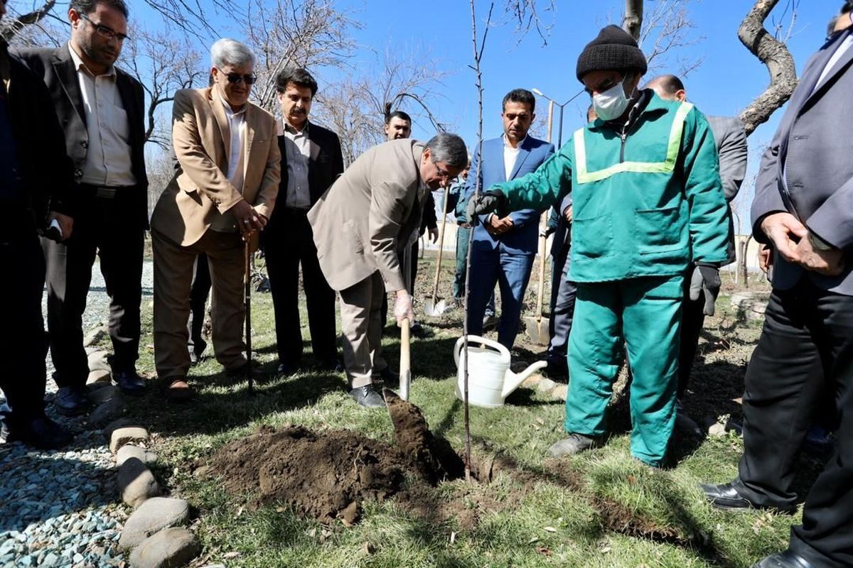 کاشت درخت در همدان با حضور استاندار و مسئولان اجرایی استان