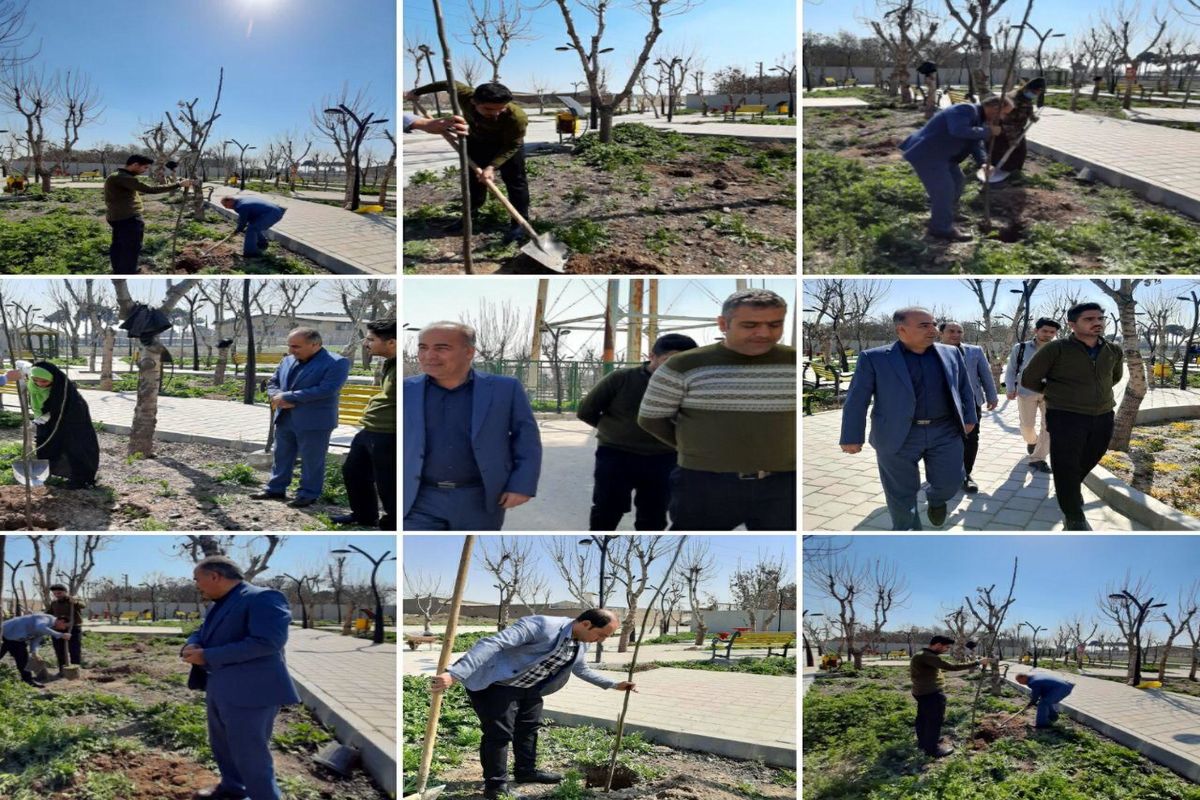 کاشت نهال توسط بخشدار قلعه نو روز درختکاری روستای طالب آباد