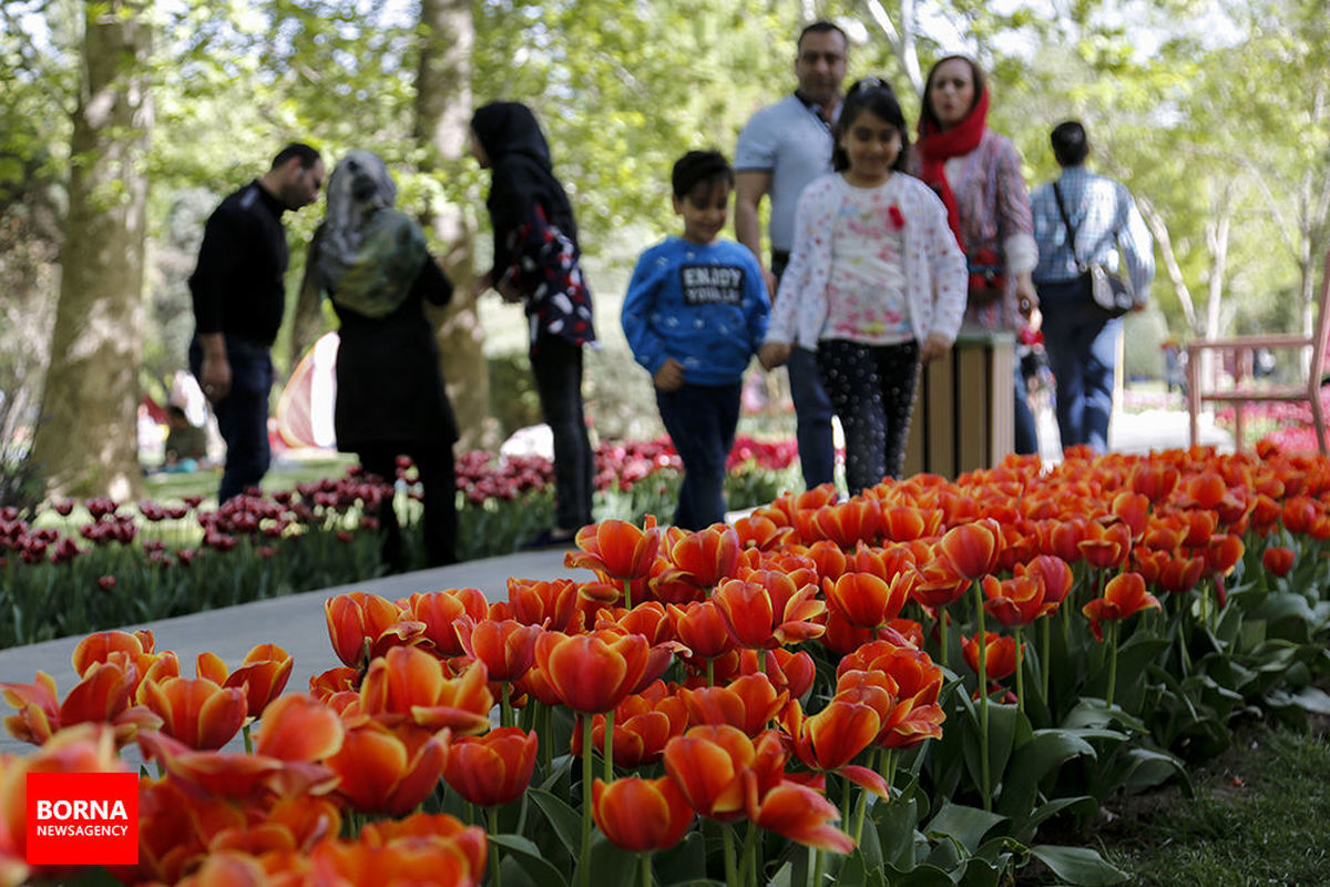 بیست و یکمین جشنواره لاله های گچسر البرز میزبان گردشگران شد